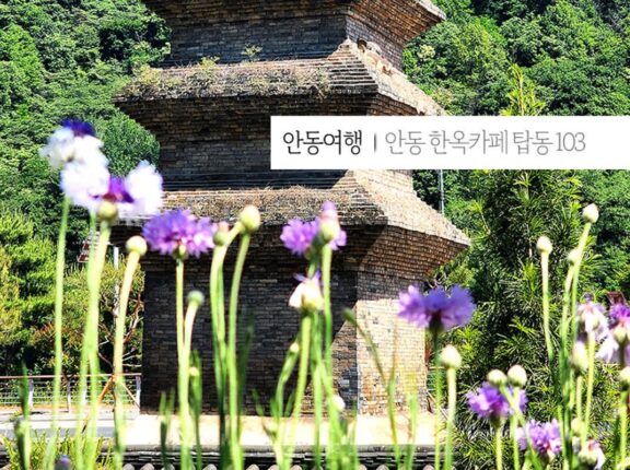 안동여행 한옥카페 탑동 103 법흥사지칠층전탑 앞