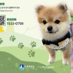 수원시, ‘반려견 순찰대’ 모집…’산책하며 동네 지켜요!’
