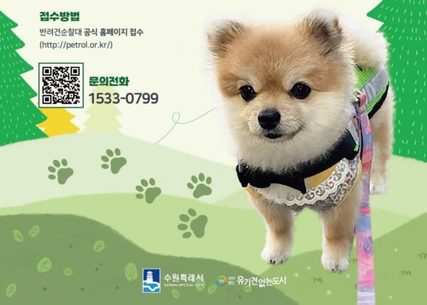 수원시, ‘반려견 순찰대’ 모집…’산책하며 동네 지켜요!’