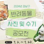 강남구 반려동물 사진 및 수기 공모전 개최…’동물 사랑하면 누구나 참여 가능’