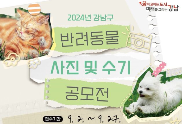강남구 반려동물 사진 및 수기 공모전 개최…’동물 사랑하면 누구나 참여 가능’