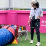 ‘안심하고 다녀오개!’ 서대문구, 추석 연휴 맞아 ‘반려견 돌봄 쉼터’ 운영