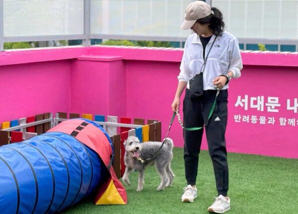 ‘안심하고 다녀오개!’ 서대문구, 추석 연휴 맞아 ‘반려견 돌봄 쉼터’ 운영