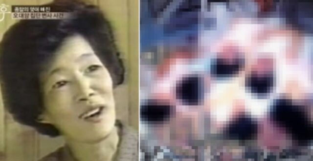 37년 전 오늘(29일), 경기도 용인의 한 공장 천장에서 시신 32구가 발견됐다