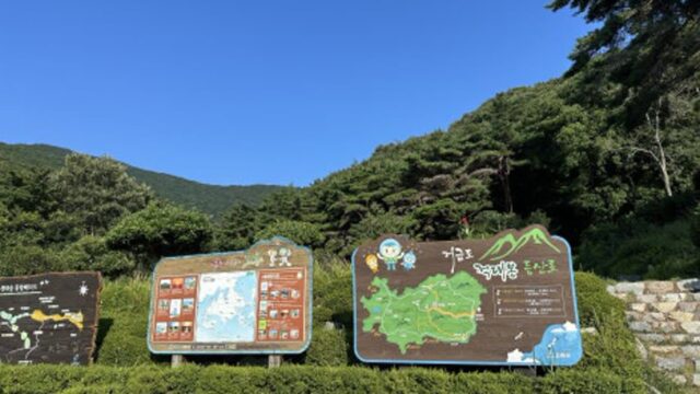 ‘걷기만 해도 치유 받는 그곳’… 고흥으로 떠나는 웰니스 여행