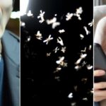 ‘벌레’ 못 잡는 남친에 정 떨어진다는 여친… “이해된다 vs 유난이다”