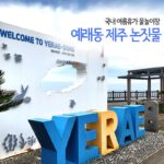 국내 여름휴가지 물놀이장 예래동 제주 논짓물