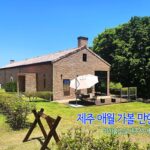 제주 애월 가볼 만한 곳 이끼숲소길 제주시 애월카페