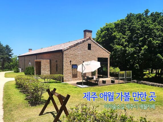 제주 애월 가볼 만한 곳 이끼숲소길 제주시 애월카페