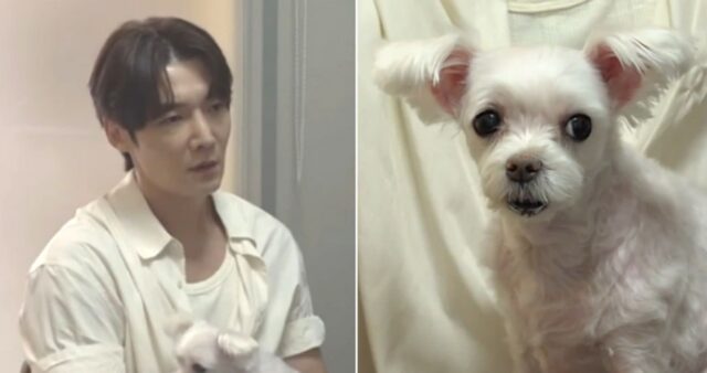 13년 키운 반려견 2주 시한부 선고에 오열한 최진혁… 직접 장례 준비 중