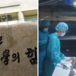 억울한 죽음의 진실 밝혀내는 곳인데… 혐오시설이라고 주변에 편의점도 없다는 국과수