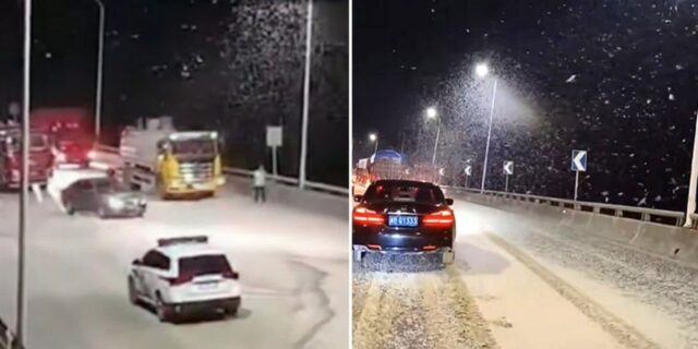 “눈 아닙니다”… 10억마리 떼로 등장한 대륙의 하루살이, 도로까지 마비된 중국 근황