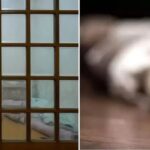 김포 주택서 혼자 살던 60대 남성 사망… 악취 신고에 출동한 소방대원이 발견