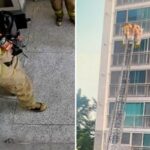담배 안피우는데… 아랫집서 담배냄새 난다며 119에 ‘허위신고’한 아파트 주민
