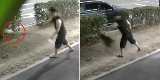 밤만 되면 옆 건물 ‘카페’에 쓰레기 투척하는 편의점 업주 (영상)