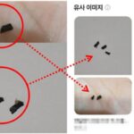 “치킨에서 ‘이물질’ 나왔다며 고객이 보낸 사진… 몇 년 전 인터넷에 올라온 사진이었습니다”