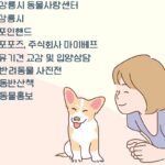 강릉시, 오는 7일 유기동물 입양행사 ‘제2회 강릉시 핑크빛 입양제’ 개최