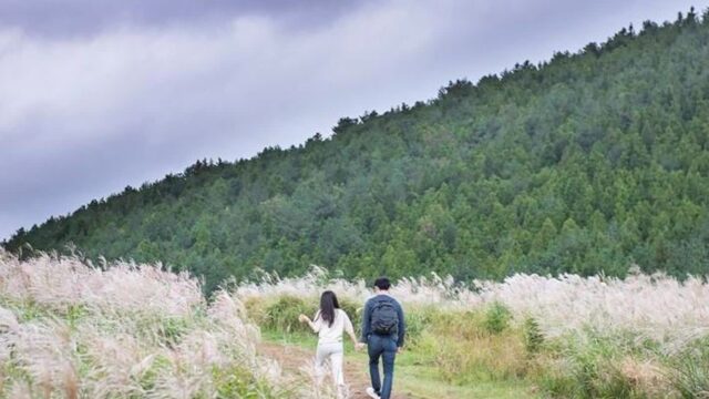 [여행+제주] 푸른 하늘에 은빛 억새…제주만이 주는 가을빛 추억 5