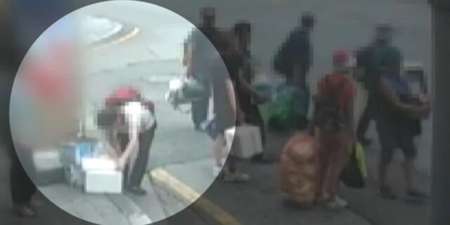 등산 마치고 관광버스서 내리더니 쓰레기 무단 투기한 산악회… 박스 열어보니 ‘충격’