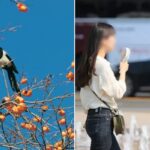 ‘폭염주의보’ 뜬 9월… “추석에도 최고 33도까지 치솟는다”