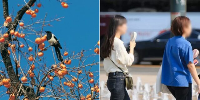 ‘폭염주의보’ 뜬 9월… “추석에도 최고 33도까지 치솟는다”