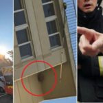 소방관들 목숨 걸고 ‘말벌 집’ 떼고 있는데… “벽타고 가서 떼라”며 핀잔준 할아버지