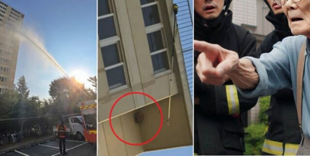 소방관들 목숨 걸고 ‘말벌 집’ 떼고 있는데… “벽타고 가서 떼라”며 핀잔준 할아버지