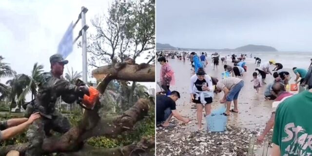 군인들은 태풍 피해복구하고 있는데…파도에 쓸려온 조개 줍느라 정신없는 주민들 (영상)