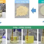 고순도 우라늄 추출 기술 개발…“방사성폐기물 감소로 환경·경제적 가치 기대”