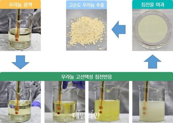 고순도 우라늄 추출 기술 개발…“방사성폐기물 감소로 환경·경제적 가치 기대”