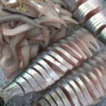 그래도 가을엔, 전어 맛집 3 #가볼만한곳