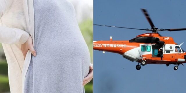 배 속 아기 살려고 진통 견디며 제주서 인천까지… ‘의사’ 찾아 440km 날아온 고위험 임신부