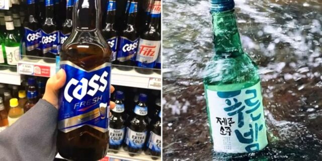 오비맥주, 소주시장 진출… ‘제주소주’ 인수해 글로벌 시장 확장한다