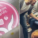 임신부석에 앉은 남자에게 ‘영어’로 호통친 외국인… 남성 내리자 ‘역대급 반전’ 있었다