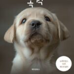 전생 기억 간직한 채 계속 다시 태어나는 개 ‘베일리’의 감동 스토리…’개의 목적’