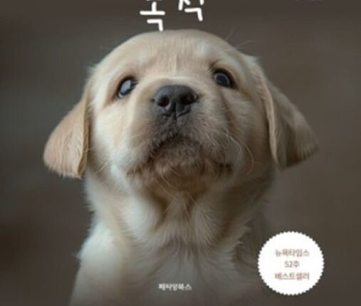 전생 기억 간직한 채 계속 다시 태어나는 개 ‘베일리’의 감동 스토리…’개의 목적’