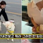 “안내견 들어온다!”… 서울 기사식당 사장님이 시각장애인 보고 쩌렁쩌렁 소리친 반전 이유 (영상)