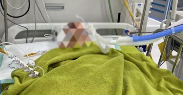 주차 시비 말리다 ‘손자뻘’ 20대 남성에 폭행당한 아파트 경비원… 결국 뇌사상태 빠졌다