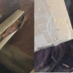 벌초 하러 갔다가 리얼돌인 줄 모르고 경찰에 신고 할 뻔 한 사연… “상자에 옷 반쯤 벗겨져”