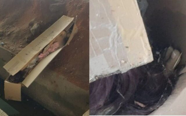 벌초 하러 갔다가 리얼돌인 줄 모르고 경찰에 신고 할 뻔 한 사연… “상자에 옷 반쯤 벗겨져”