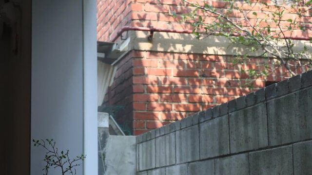 아기자기한 행복이 깃든 수원 행궁동 행리단길 카페 3곳