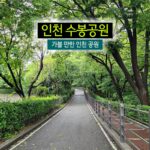 인천 수봉 공원 가볼 만한 인천 공원