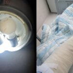 아파트 엘베에서 조명등 떨어져 동맥·신경 다 끊어졌는데… 책임 없다는 관리사무소