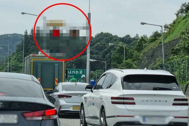 “신고했더니 과태료 0원” 정부, 대놓고 단속 안하는 고속도로 공개