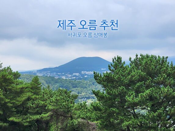 제주 오름 추천 서귀포 오름 삼매봉