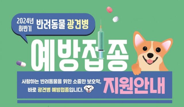 세종시, 광견병 예방접종 무료지원…’지정된 17개 동물병원서 가능’