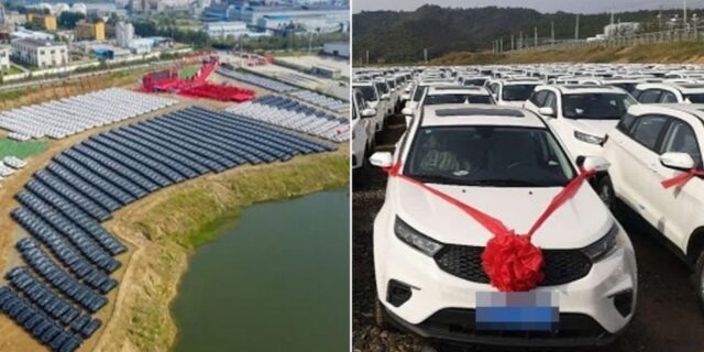 전 직원 주려고 940억 썼다… 어느 회사의 역대급 추석 선물