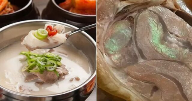 “국밥 먹다 발견한 초록빛 고기… 먹어도 배탈 안 날까요?”