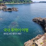국내 뚜벅이 여행 제주도 바다 황우지 해안