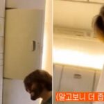노홍철에게 “연예인이냐”묻더니… 더 좁은 좌석으로 자리 바꿔달라 황당 요구한 아줌마